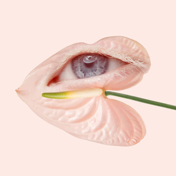istock Surreal callas flower with an eye inside it on light pink background. Modern design. Contemporary art. Creative conceptual and colorful collage. Beauty, art, vision 1392520895
