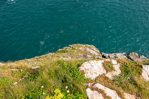 Looking over cliff edge in Devon UK