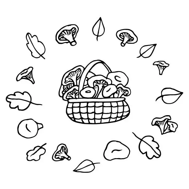 Vector illustration of Mushrooms in a basket, mushrooms and leaves around the basket