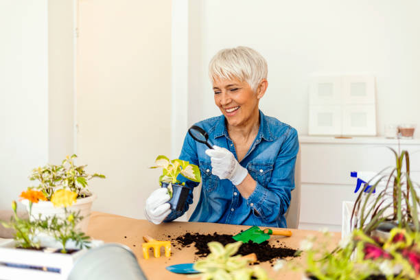 istock I'm giving my plants the best care. 1392527377