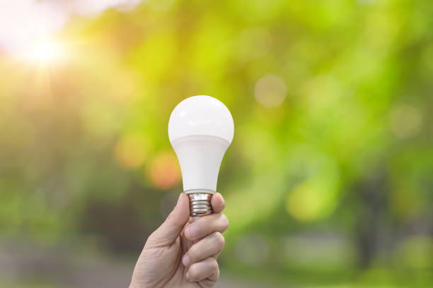 istock Hand holding lamp bulb on green nature background. Environment friendly concept. 1392529576