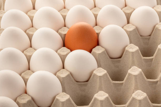istock Fragment of a tray with brown and white chicken eggs. 1392531068
