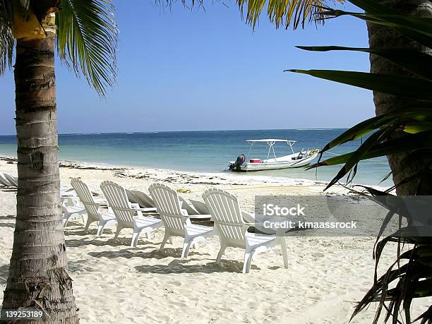 Photo libre de droit de Bateau Sur La Côte banque d'images et plus d'images libres de droit de Amérique centrale - Amérique centrale, Arbre, Arbre tropical