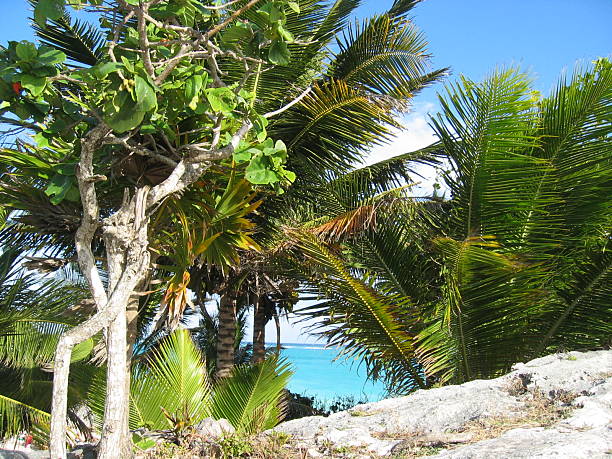 Tulum Seaside stock photo