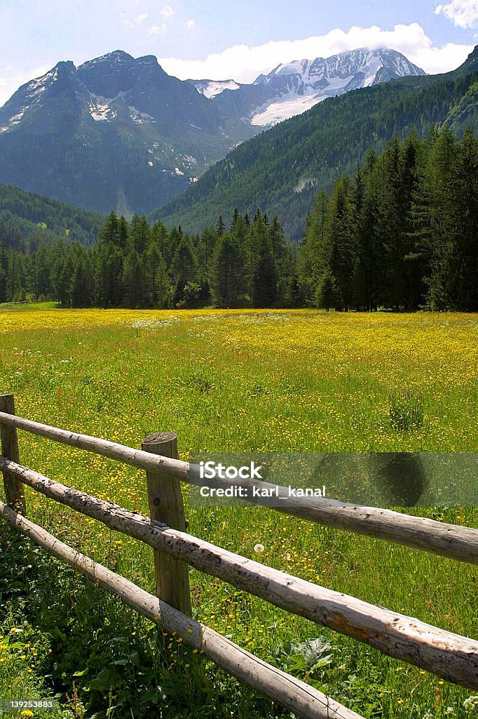 Riserva Naturale dei Monti - Foto stock royalty-free di Alpi
