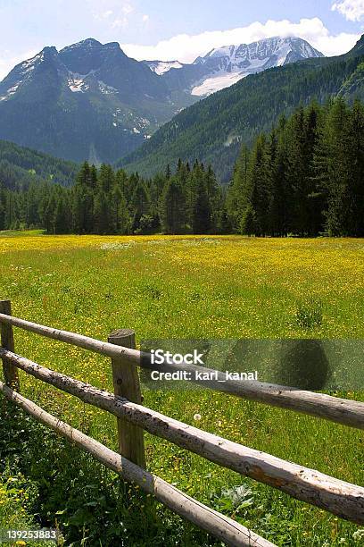 Montanhas Reserva Ecológica - Fotografias de stock e mais imagens de Alpes Europeus - Alpes Europeus, Amarelo, Ao Ar Livre