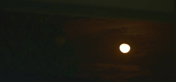 istock moon spreading light with tree  and electric wire  on night 1392539032