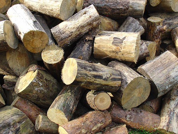 bunch of chopped wood stock photo