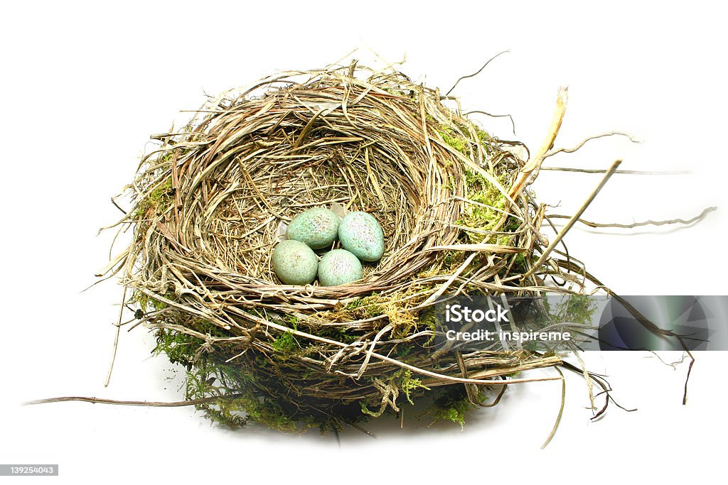 Nest - Lizenzfrei Ansicht aus erhöhter Perspektive Stock-Foto