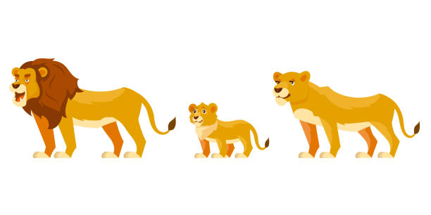 ilustraciones, imágenes clip art, dibujos animados e iconos de stock de familia león vista tres cuartos. - cachorro de león