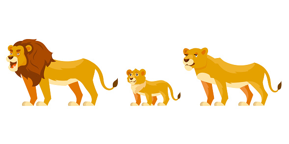 Lion family three quarter view. African animals in cartoon style.
