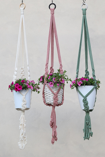 three plant hangers in different colors against wall, home decor