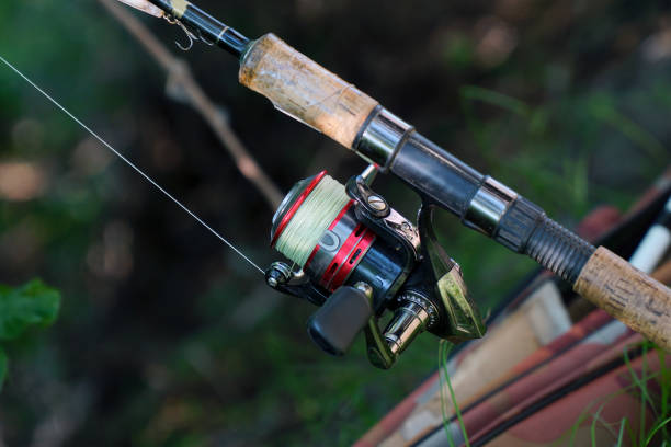 canna da spinning con mulinello per la cattura di pesci predatori su sfondo naturale - lure loc foto e immagini stock