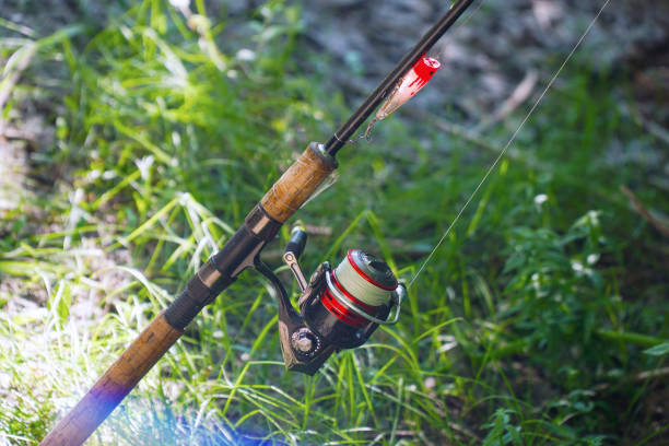 istock Spinning rod with a reel for catching predatory fish on natural background 1392542963