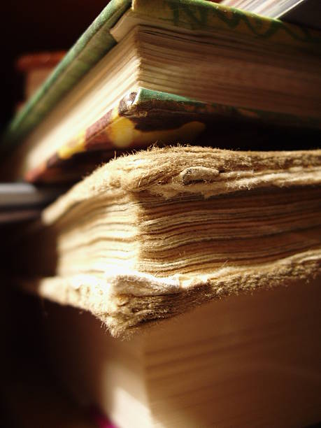 istock Pile of books 139254671