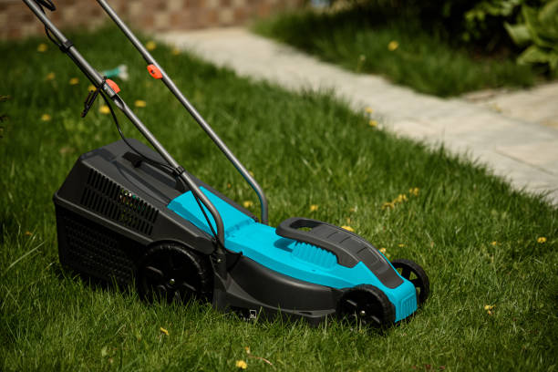 istock Close up of the lawn mower machine. 1392547431