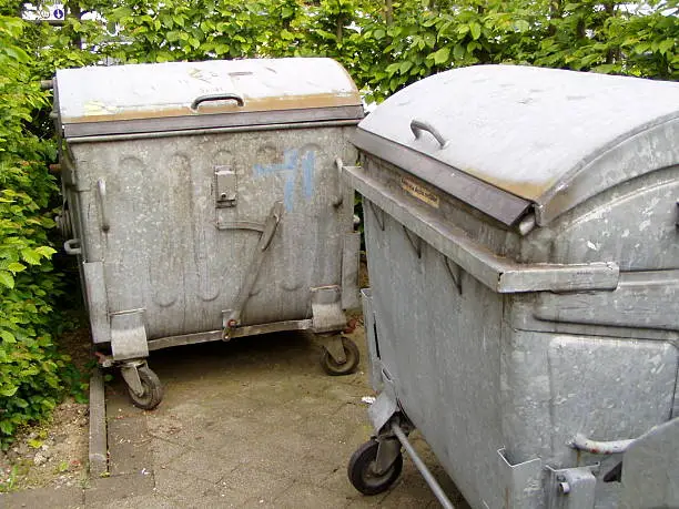 2 industrial dumpsters standing in front of a beech-hedge