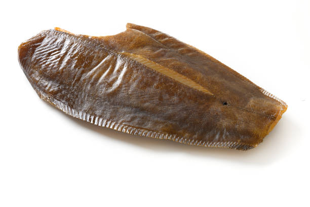 istock Atlantic salted smoked halibut isolated on white background. 1392548377