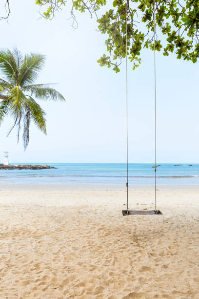 istock Wooden swing hanging on the tree with peaceful beach background 1392548540