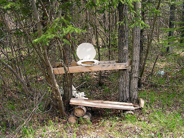 istock Au' Natural Toilet 139255158