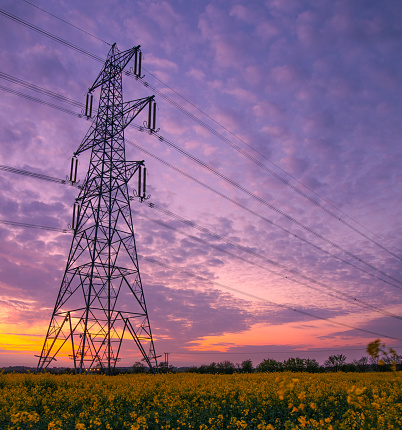 400kV electricity pylon or tower over a field of yellow oilseed rape in flower during spring summer at dusk