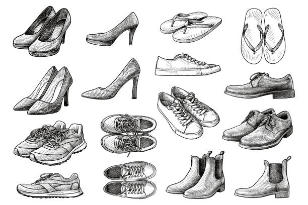 ilustraciones, imágenes clip art, dibujos animados e iconos de stock de conjunto de dibujos vectoriales de varios zapatos - dress shoe