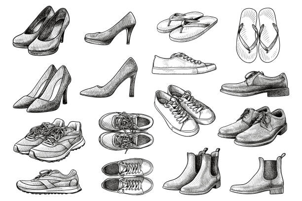 ilustrações de stock, clip art, desenhos animados e ícones de set of vector drawings of various shoes - sports footwear illustrations