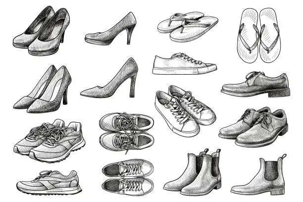 Vector illustration of Set of vector drawings of various shoes