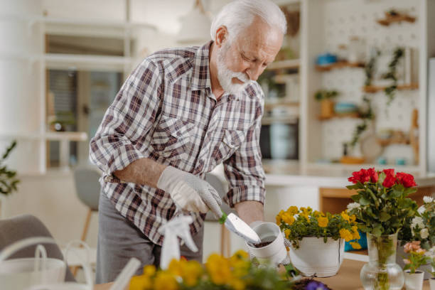 istock Senior man planting flowers 1392553019