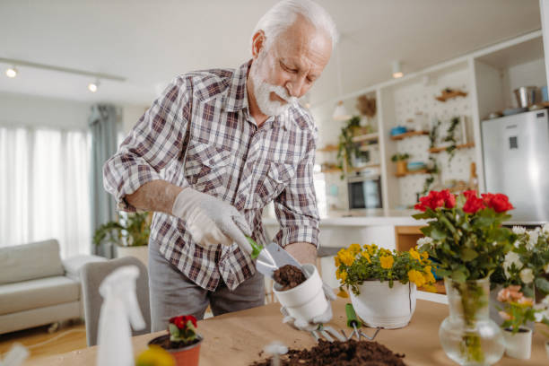 istock Senior man planting flowers 1392553021