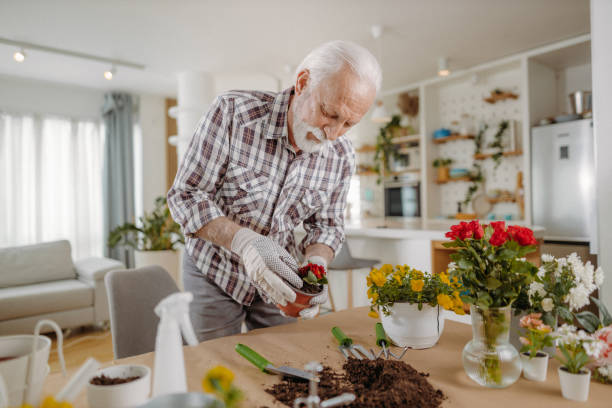 istock Senior man planting flowers 1392553092