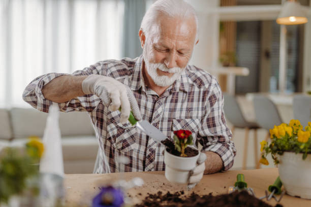 istock Senior man planting flowers 1392553120