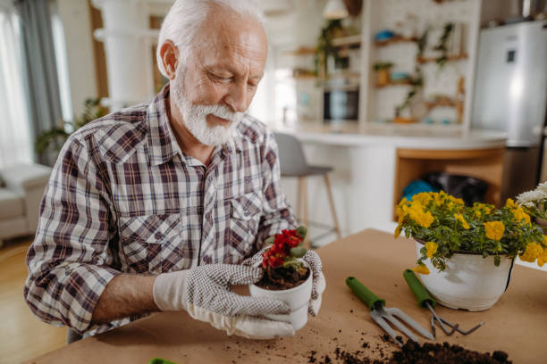istock Senior man planting flowers 1392553129