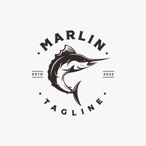 Vintage sailfish, swordfish, Marlin Fish logo icon vector on white background Vintage sailfish, swordfish, Marlin Fish logo icon vector on white background black marlin stock illustrations