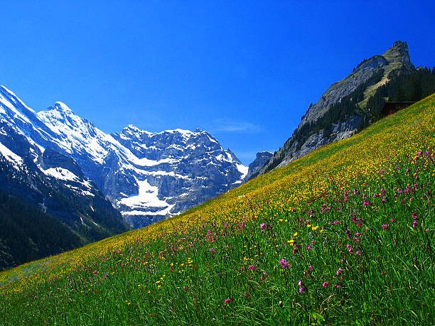 istock Swiss Alps Hills 139255475