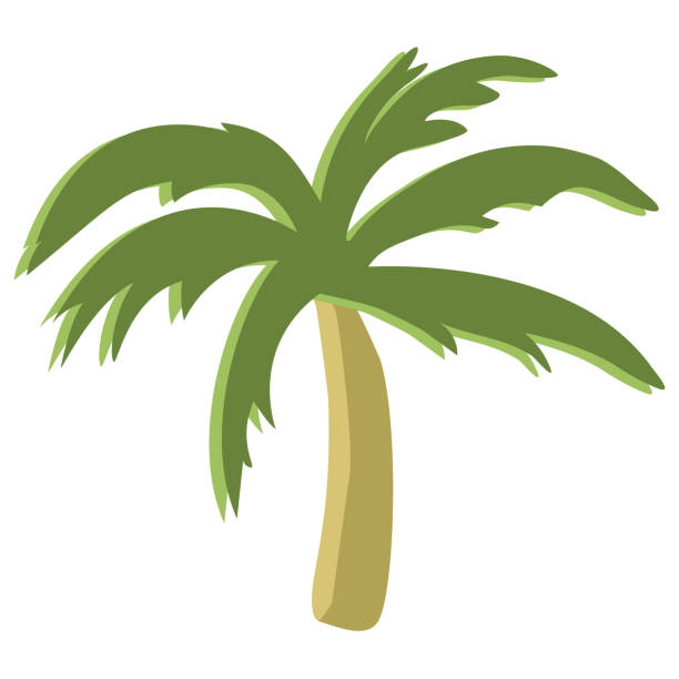 palma tropikalna ilustracja wektorowa - pattern coconut palm tree frond textile stock illustrations