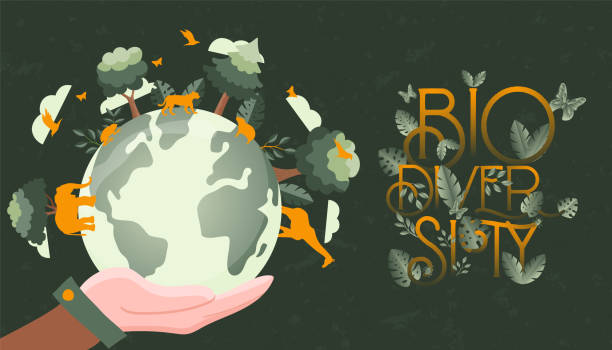 ilustrações de stock, clip art, desenhos animados e ícones de biodiversity banner hand holding green planet - biodiversity