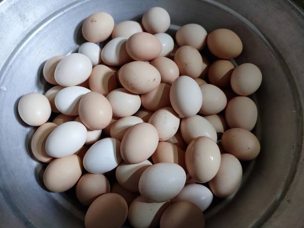 istock Closeup view of raw and fresh organic eggs 1392557519