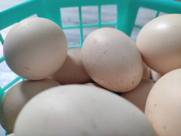 istock Closeup view of raw and fresh organic eggs 1392557552