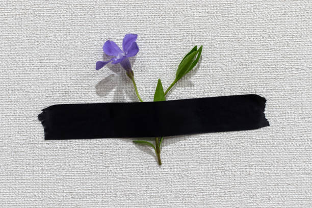 blue periwinkle flower taped tape to wall. - duct tape gray blue black imagens e fotografias de stock