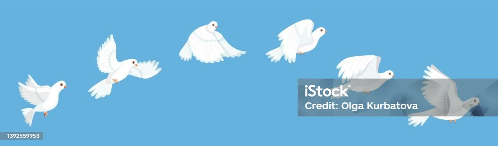 Flying Bird Animation White Pigeon Flapping Wings Sequence Stop Motion  Storyboard Peaceful Dove Flight Stages Cycle Loop City Fauna Hope And Love  Sign Vector Isolated Concept Stock Illustration - Download Image Now -