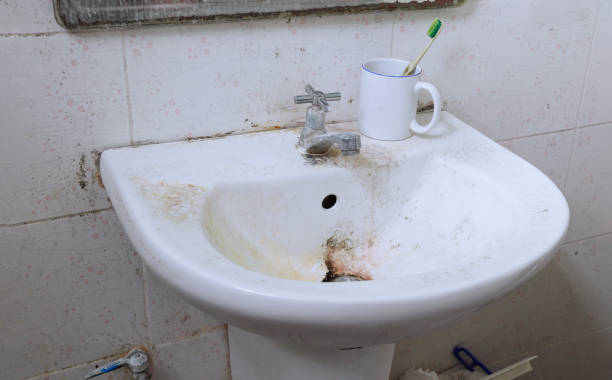 unhygienic lavatory. stock photo