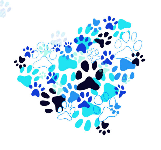 haustier hund fußabdruck blaue stimmung illustration mit weißem hintergrund. ich liebe tiere, karte. - hund grafiken stock-grafiken, -clipart, -cartoons und -symbole