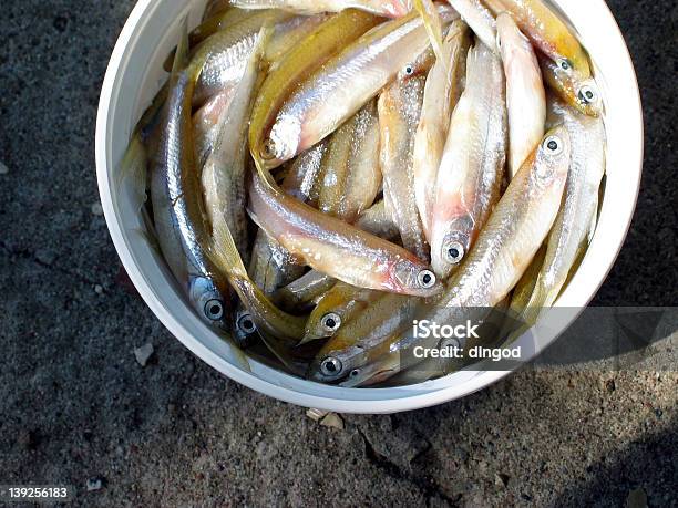 Peixinhos - Fotografias de stock e mais imagens de Fotografia - Imagem - Fotografia - Imagem, Frito, Horizontal