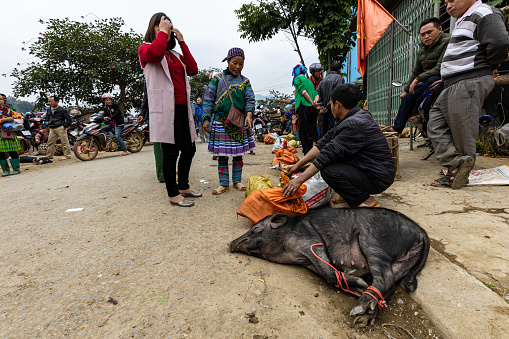 Bac Ha, Lao Cai, Vietnam - November 09, 2019:  People at the Farmers Market of Bac Ha in Vietnam