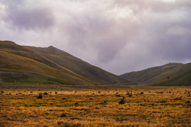 del gran sasso e monti della laga nazionale parco - apennines beauty in nature grass plateau foto e immagini stock