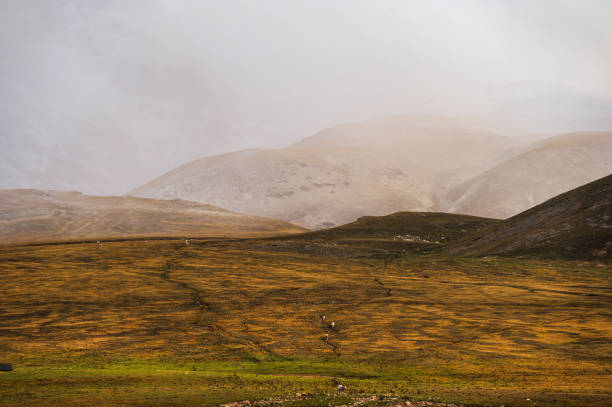 гран-сассо и монти-делла-лага национальный парк - apennines beauty in nature grass plateau стоковые фото и изображения