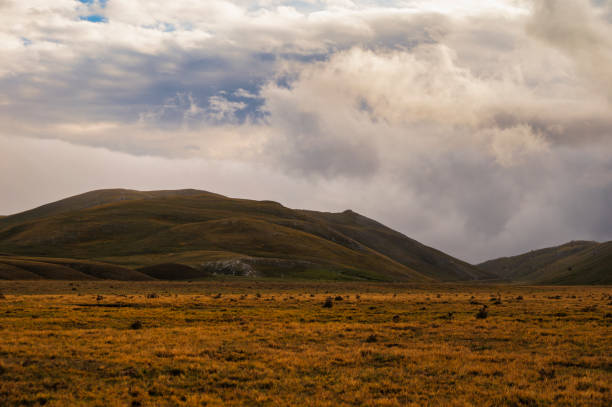 del gran sasso e monti della laga nazionale parco - apennines beauty in nature grass plateau foto e immagini stock