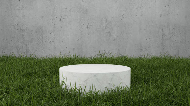 istock Mockup cylindrical marble podium on grass field and concrete wall 3D render illustration 1392565952
