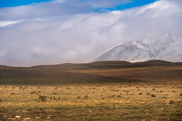 グラン サッソ e モンティ ・ デッラ ・ ラガ 国立公園 - apennines beauty in nature grass plateau ストックフォトと画像